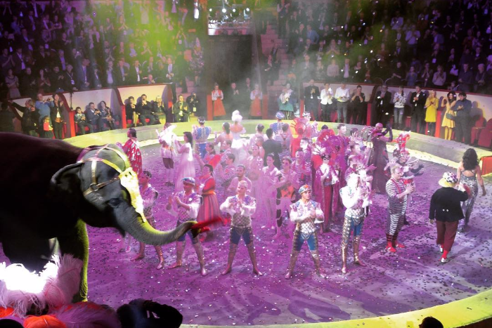 Цирк Чинизелли открыли после реставрации: 15 фотографий из Instagram с первого представления