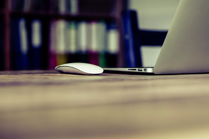 Роскомнадзор заблокировал сайт движения «Свободная Ингрия»