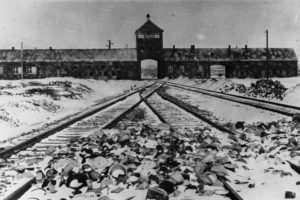 Петербуржцы рассказывают, как они выжили в нацистских концлагерях. Освенцим, Найденбург и Брест