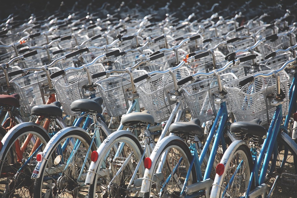 К середине октября на набережной Фонтанки проложат еще одну велодорожку — от Гороховой улицы до Старо-Петергофского проспекта