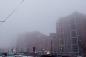 «Доброе утро и добро пожаловать в Сайлент Хилл»: петербуржцы фотографируют густой февральский туман и пытаются разглядеть соседние дома