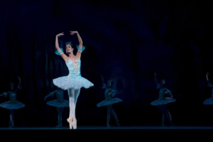 Как смотреть балет и на какой спектакль пойти? Балетные критики и артисты объясняют, как понять постановку, в которой никто не разговаривает