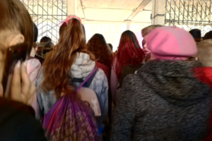 В Красносельском и Выборгском районах снова эвакуируют школы