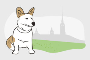 Восемь лет назад петербуржцы создали закрытую группу «Петроградская диаспора» — сейчас в ней 4 тысячи человек. Как там договариваются о пикетах и ищут репетиторов и пропавшие двери