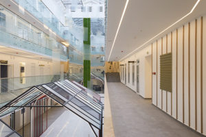 На Васильевском острове открылось пространство «Линии» — с коворкингом, магазинами, кафе и лекторием. Как оно выглядит и чем там можно заняться