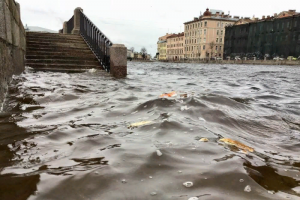 Фонтанка вышла из берегов. Петербуржцы публикуют фотографии затопленной набережной