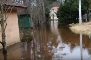 В Белоострове река Сестра вышла из берегов. Местные жители сообщают о затопленных дорогах и домах