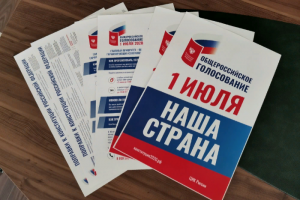 В Петербурге на 29 участках большинство избирателей выступили против поправок. На одном УИК — более 97 % голосов «против»