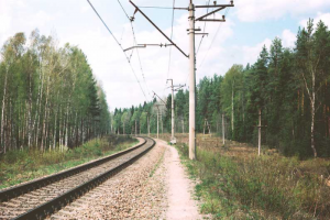 Сергей Собянин согласовал проект строительства высокоскоростной железной дороги из Петербурга в Москву