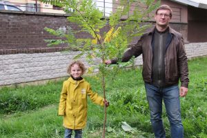 «За пять лет я вырастил больше 200 деревьев». Петербуржец рассказывает, как живет с домашним лесом на подоконниках и зачем озеленяет город растениями со всего мира