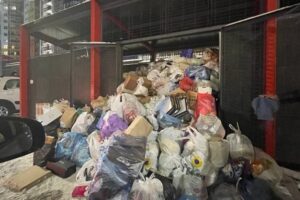 Петербуржцы пожаловались на переполненные мусорные баки после Нового года. В чем проблема?