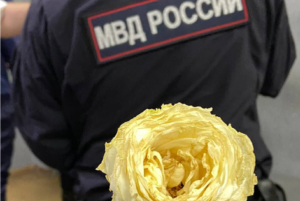 Белая роза, ленточка на столбе и плакат «‎Нет новой войне». За что 9 мая задерживали в Петербурге