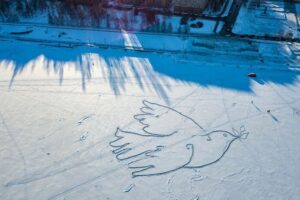 Как на Онежском озере создали 100-метровую копию антивоенной «Голубки» Пикассо и почему ее авторы не боятся дел о «дискредитации армии»?
