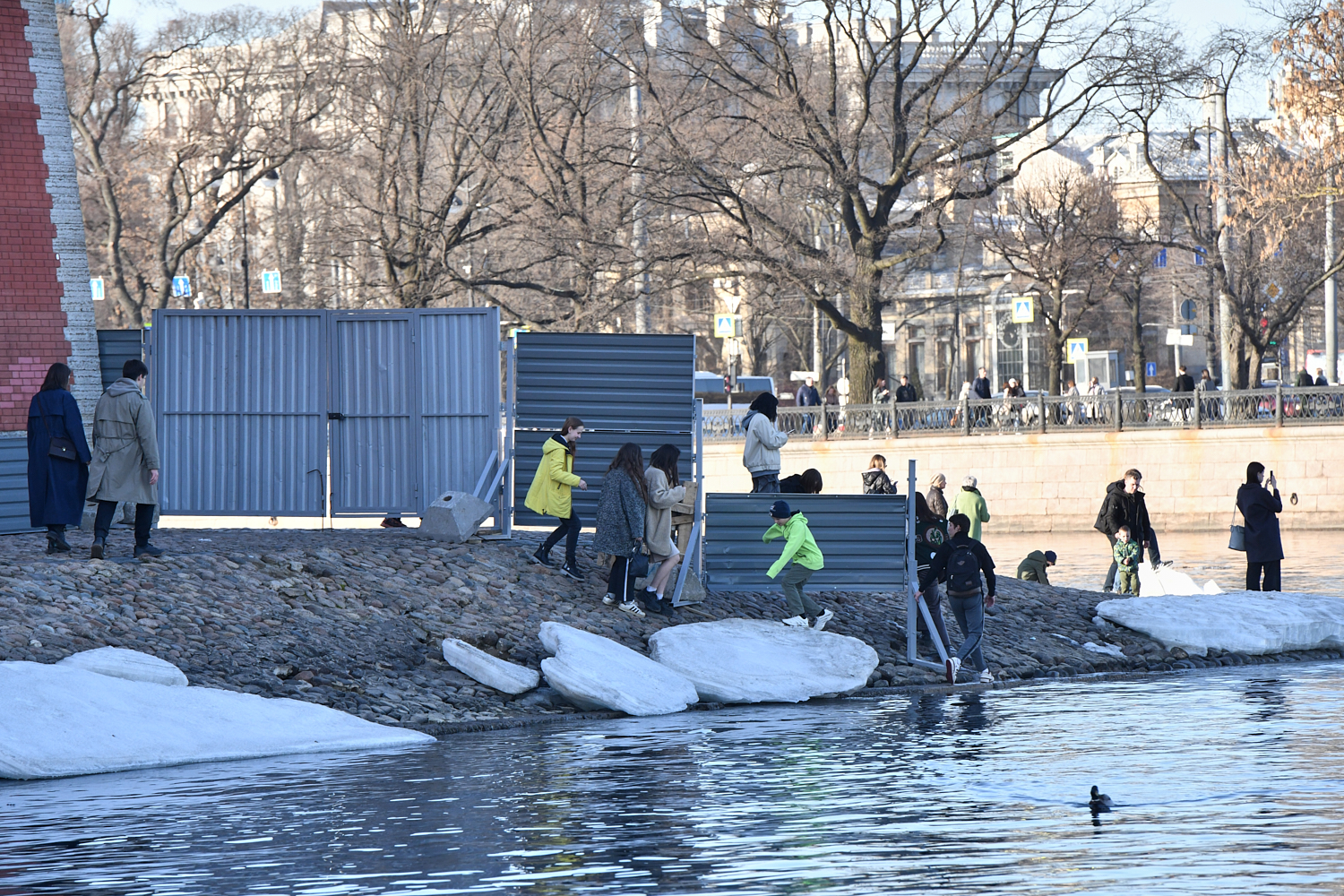 Петербуржцы перелезают через забор у Петропавловки. «Бумага»