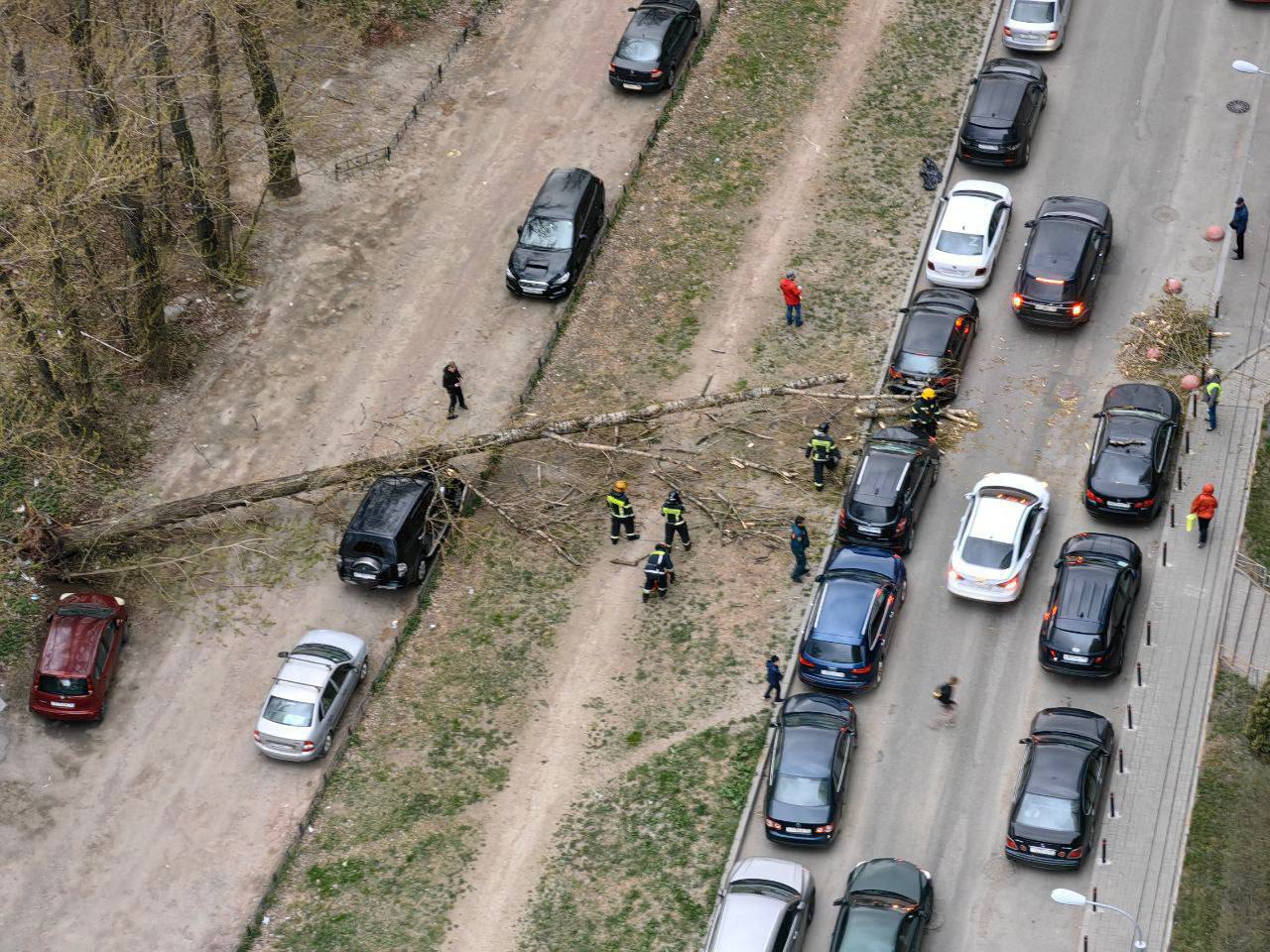 Последствия сильного ветра в Петербурге. «Бумага»