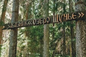 Как жители Зеленогорска борются за лес и заказник «Озеро Щучье» — там хотят построить пансионат «Газпрома» и биатлонный комплекс