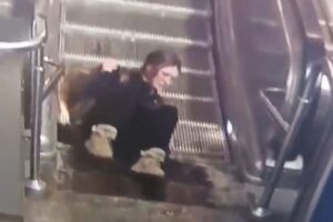 Эскалатор зажевал куртку спускавшейся сидя петербурженки. Видео завирусилось, а прокуратура начала проверку