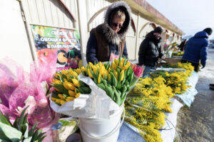 «Индекс мимозы». Показываем, как выросли цены на весенние цветы в Петербурге