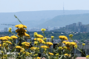 Опыт: я начал иммунотерапию от аллергии в Тбилиси. Как проходит процедура и сколько это стоит?