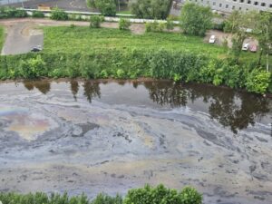 Жители ЖК «Зима-Лето» пожаловались на нефтяные разводы на реке Охта