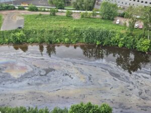 Причина загрязнения реки Охты — бесхозный понтон, заявили в природоохранной прокуратуре