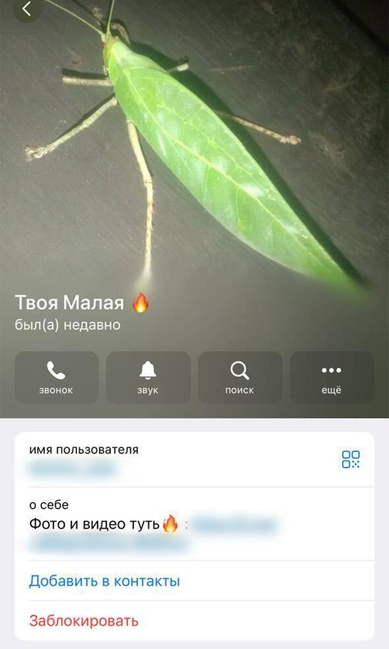 photo_2025-08-15 18.08.37