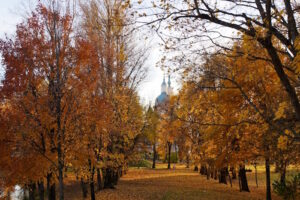 Средневековые крепости и самый длинный пляж Финского залива. Небанальные туристические направления на ноябрьские праздники