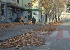 «Службу уборки упразднили?» — в соцсетях недовольными обилием листьев на тротуарах столицы