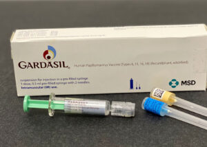 Доступна ли бесплатная вакцина «Гардасилом» для экспатов? Разбор Paper Kartuli