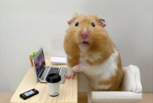 Могут ли россияне работать на зарубежные компании в 2026 году? Исследование Paper Agency и Mellow