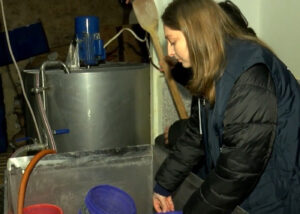 Еще одну подпольную фабрику по производству сыра выявили в Имерети